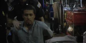 Amateur Masked Teen Blowjob Xxx Chop Shop Owner Gets Shut Down