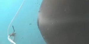 Greatest Beach, Voyeur, Amateur Clip, It'S Amaising