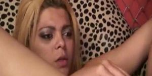 BAREBACKED SHEMALES - Hot Latin Bareback Pounding Shemale Gisely (sexy_tranny)