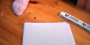 Chubby slut spreads her wet pussy on the
