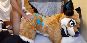 Furry Murrsuit Fuck