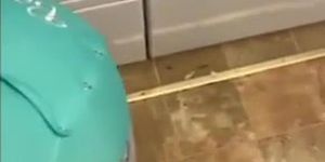 Laundry Room Backshots (TEAMSTEE)