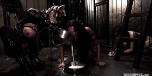HorrorPorn - The Fetish Cougar