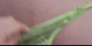 SHES NEW - Busty girlfriend Roxy Lovette POV sex facial cumshot (Evelyn Carson)