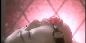 Shinobu Hosokawa JAV busty legend (Isis Taylor)