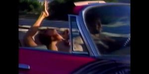 Florida, Baby! (USA 1992) (P.J. Sparxx, Pj Sparxx, Ron Jeremy, Trixie Tyler)