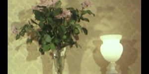 A Visit from Sweden (France 1976) (Ellen Earl, Isis Taylor, Jacques Insermini)