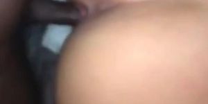 Cream pied in latina