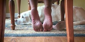 Soles