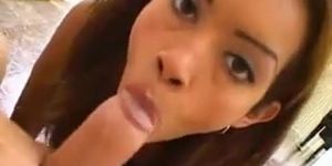 Daisy Boobs (Dasi West)