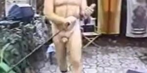 Daddy Bears on a Bench