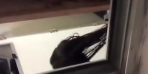 Neighbor secretly filmed through the window