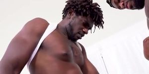 v (1)