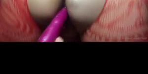 BBW Twerk and Toys Comp