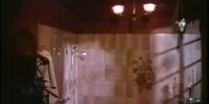 Frisky Business (1984) (Cara Lott, Kimberly Carson)