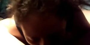 Mexican chick sucking my cock