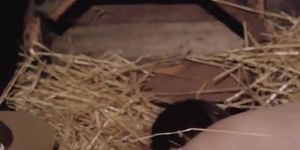 Full Porn Film 69 (Annette Haven, Clair Dia, Georgina Spelvin)