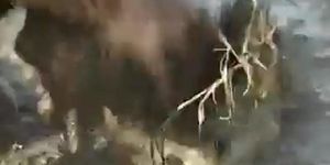 Mud fuck part3