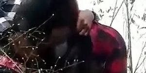 Jangal masti