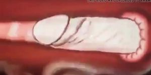 Anal animation