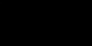 jiv_082