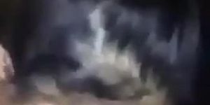 hshhz