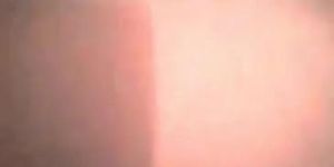 latina anal mamando verga