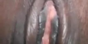 Black pussy