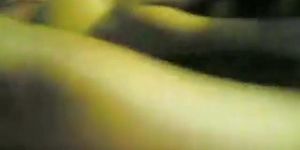 Hgfdjgf