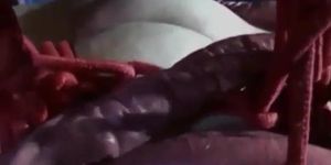 Tentacle bondage
