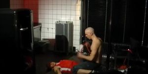 gay pig dominated