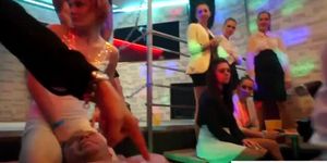 Party babes sucking cocks and getting fucked