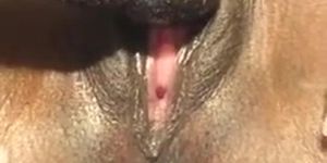 Ebony woman have some of the best pussy