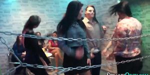 Orgy amateurs give head
