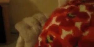 Plump Gilf Shows ass