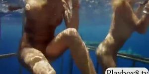 Badass girls swam with shark in the cage and snowboarding