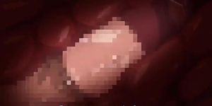 hentaiecci