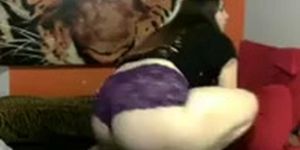 PAWG Webcam 2.