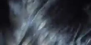 Ex gf blowjob (Ex Girlfriend)