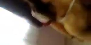 VIDEO DE WHATSSAPP