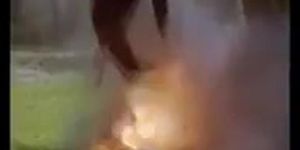 Andy Sidaris Tribute (Julie Strain, Shae Marks)