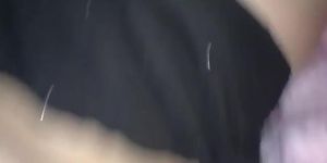 Perra Venezolana