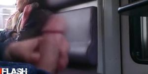 Very Nice Train Flash