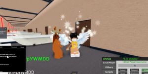 Roblox Lesbians (Using exploits to give u faggots good content)