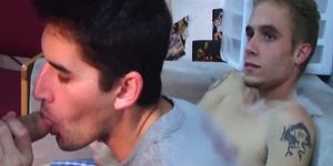 College teens sucking hard cock