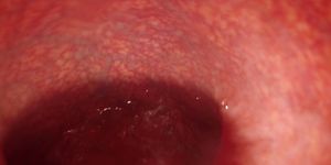 Internal Camera Bad Dragon Flint Fucks and Deep in my Ass, Lots of Cum