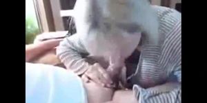 Debbie Does Cock (Lucie Nunvarova)
