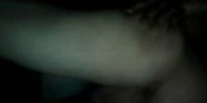 donde the beaver 2