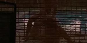 Fucking bbw poolside during the sunset (AmateurLatin)