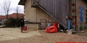 Cochonnes de la cave au grenier 2